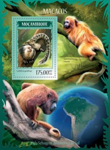 Mozambique 2014 Monkeys on Stamps Stamp Souvenir Sheet 13A-1494