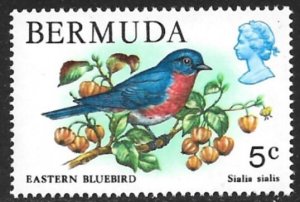 BERMUDA 1978-79 QE2 5c Eastern Bluebird Pictorial Sc 365 MNH