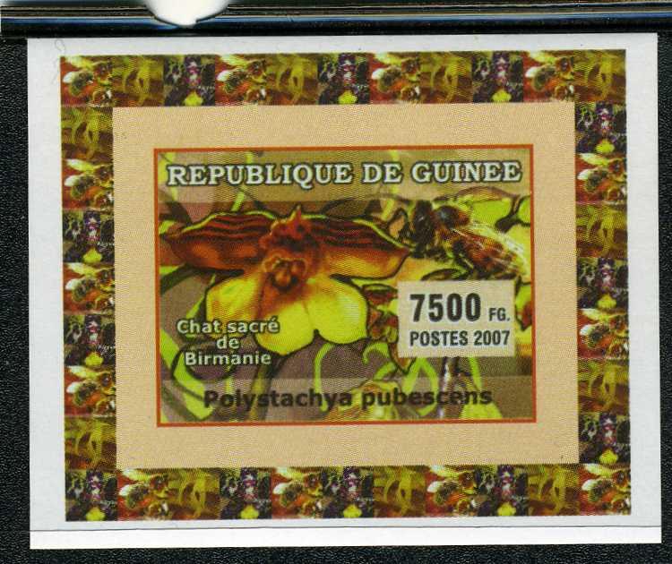 Guinea 2007 ORCHIDS & BEES Deluxe s/s Mint (NH)