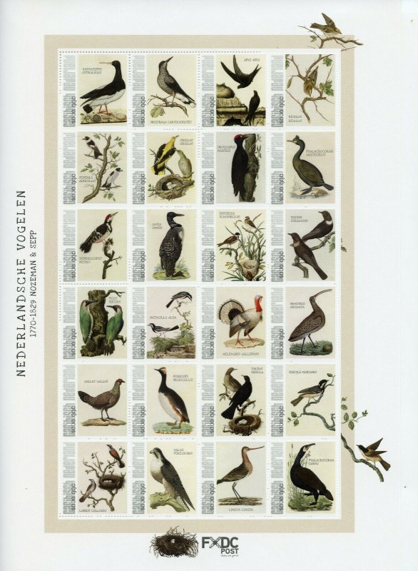 Saba Caribbean Netherlands Stamps 2021 MNH Dutch Birds Nozeman & Sepp 24v M/S 