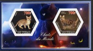 Chad 2014 Cats #2 imperf sheetlet containing two hexagona...