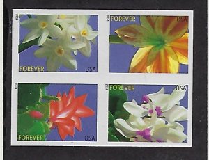 Modern Imperforate Stamps Catalog # 4862 65d Block of 4 Winter Flowers