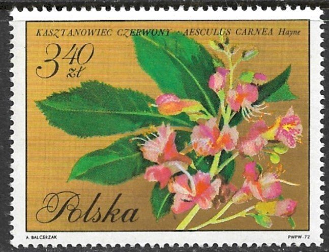 POLAND 1971 3.40z Red Chestnut Flower Pictorial Sc 1867 MNH
