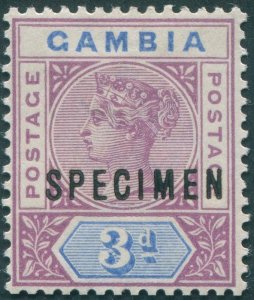 Gambia 1898 3d reddish purple & blue SPECIMEN SG41s hinged