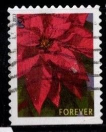 #4816 Poinsetta (Off Paper)- Used