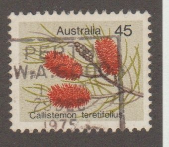 Australia 570  flower