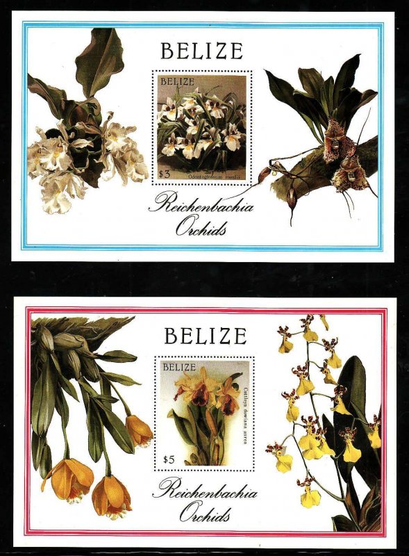 Belize-Sc#896-7- id9-two unused NH sheets-Flowers-Orchids-1987-