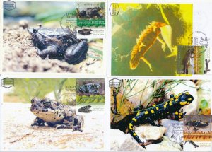 ISRAEL 2014 FAUNA NATURE AMPHIBIANS SET OF 4 MAXIMUM CARDS 