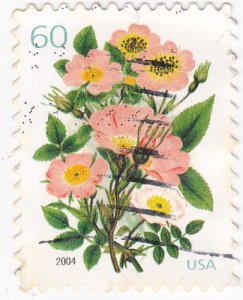 USA -2004 Greetings Roses 60c used