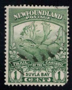 NEWFOUNDLAND Scott 115 Used