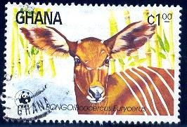 Bongo, Antelope, Ghana stamp SC#927 used