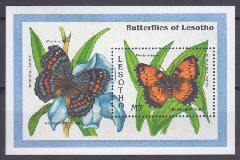 1993 Lesotho 1045/B103 Butterflies 7,50 €