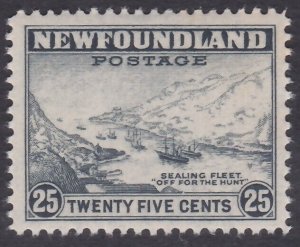 NEWFOUNDLAND 1941-44 25c perf 12½ SG228 fresh MNH..........................A3960