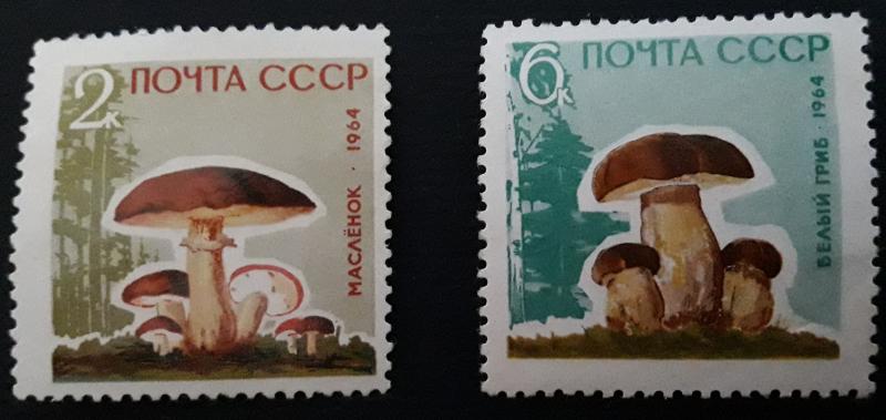 Mushrooms, 1964, Europe, Soviet Union, №25-T