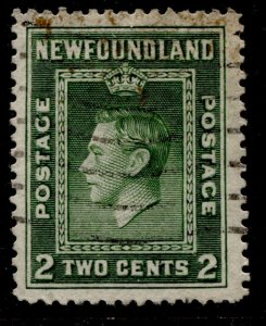 Newfoundland #245 KGVI Definitive Issue Used