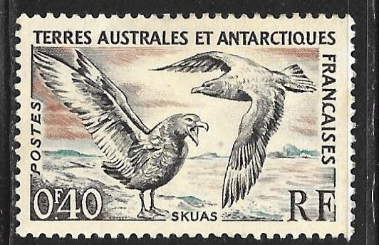 French Southern and Antarctic Territories 13: 40c Skua, MH, VF