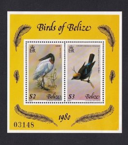 Belize   #501  MNH  1980  birds sheet of 2