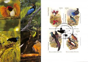 United Nations UN endangered species maximum card no. 116 paradise birds