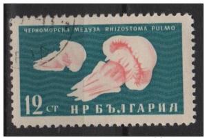 Bulgaria 1961 Scott 1165 CTO - 12s, black sea fauna, Jelly