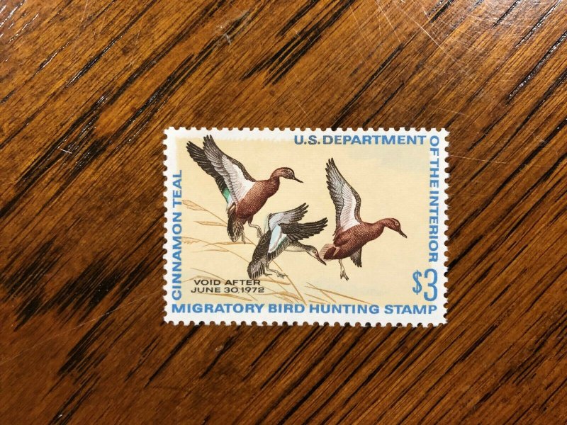 RW 38 1971 $3.00 Cinnamon Teal Duck Stamp, Mint Never Hinged