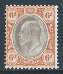 Transvaal #258 MH 6p Edward VII - Wmk. 2