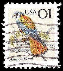 # 2476 USED KESTREL