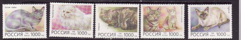 Russia-Sc#6307-11-unused NH set-Animals-Cats-1996-
