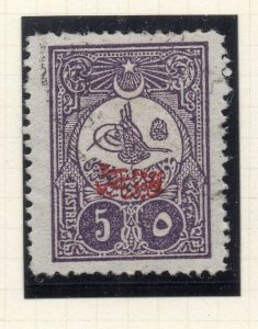 Turkey 1906 Printed Matter Issue Fine Used 5p. Optd NW-04603