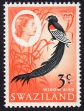 Swaziland - 1968 3c on 5c MNH** SG 136