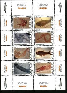 ABKHAZIA RUSSIA LOCAL SHEET FOSSILS