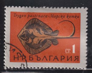 Bulgaria 1403 Fish of the Black Sea - Sting Ray 1965