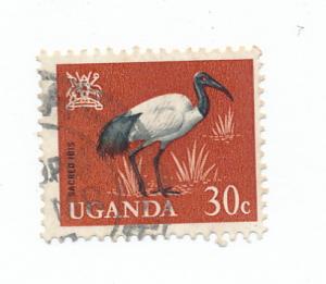 Uganda 1965  Scott 101 used - 30c, Sacred ibis