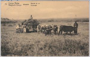 Congo Belge / Belgian Congo POSTAL HISTORY - POSTAL STATIONERY CARD: agricolture