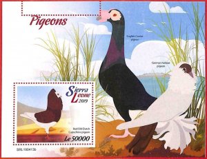 A4561 - SIERRA LEONE - ERROR MIPERF, block: 2019, pigeons, birds-