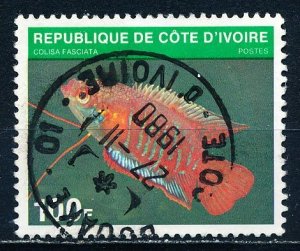 Ivory Coast #558 Single Used