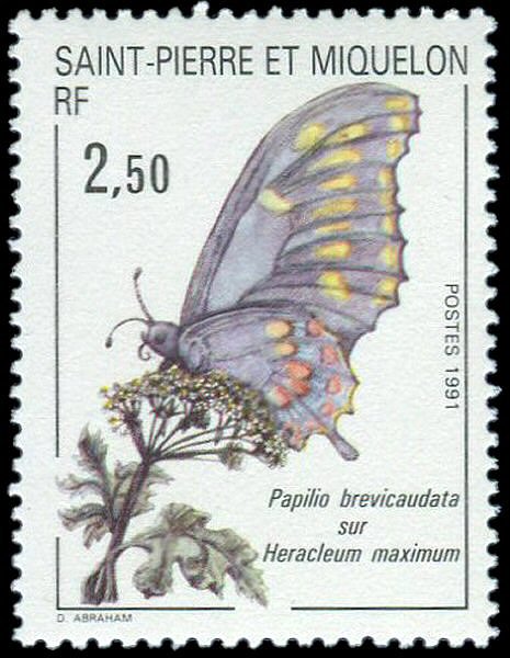 St Pierre & Miquelon 1991 #554 MNH. Butterfly