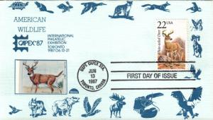 #2317 White-tailed Deer Dome FDC