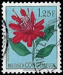 BELGIAN CONGO   #272 USED (3)