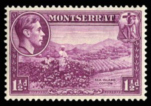 Montserrat #94a (SG 103) Cat£25, 1938 1 1/2p violet, perf. 13, never hinged