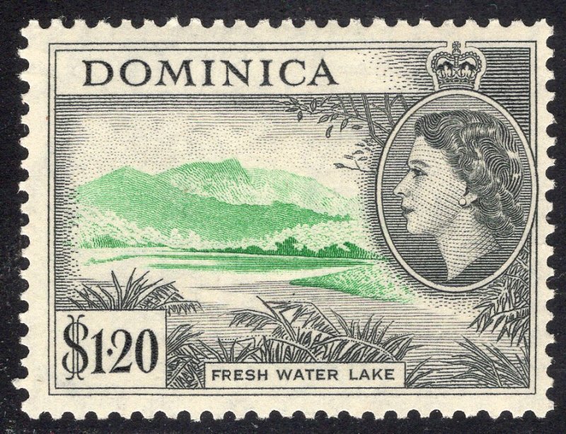 DOMINICA SCOTT 155