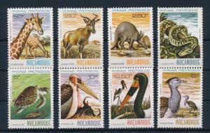 [31560] Mozambique 1981 Animals Endangered species Mammals Birds Snake MNH