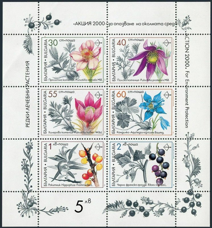 Bulgaria 3645-3651a sheet,MNH.Michel 3953-3958 klb. Medicinal plants 1991.
