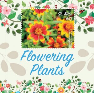 Saint Kitts 2016 - FLOWERING PLANTS - STAMP SOUVENIR SHEET - Scott #957 - MNH