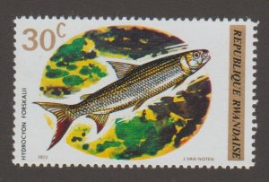 542 Fish - MNH - Rwanda