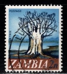 Zambia - #40 Baobab Tree - Used