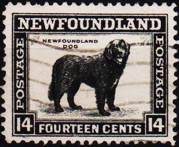 Newfoundland. 1932 14c  S.G.216 Fine Used