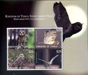 Tonga Express Stamps - SHEET SG#E2/E5 2012 OWLS **NH** cv$160.00