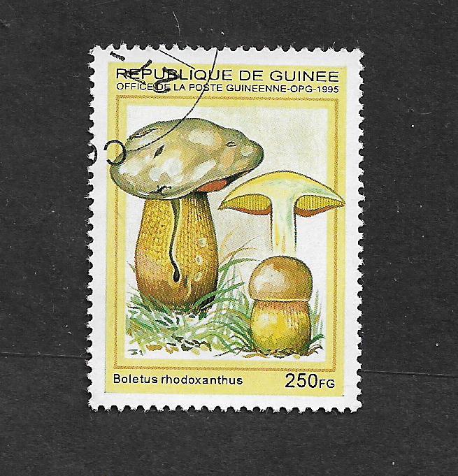 GUINEA 1995 FUNGI 250FG USED