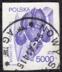 Poland 2979 - Used - 5000z German Iris (1990) (cv $0.60)