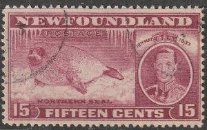 Newfoundland #239 Used    (~1437)